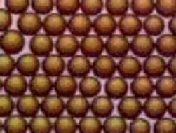 Résine Fine Mesh